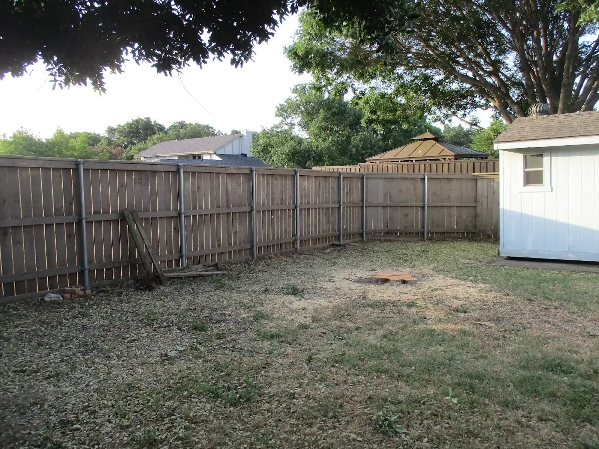 Cleared yard after professional tree removal in Copeland