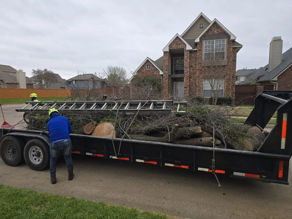Expert Tree Fertilization with proper safety equipment in Copeland